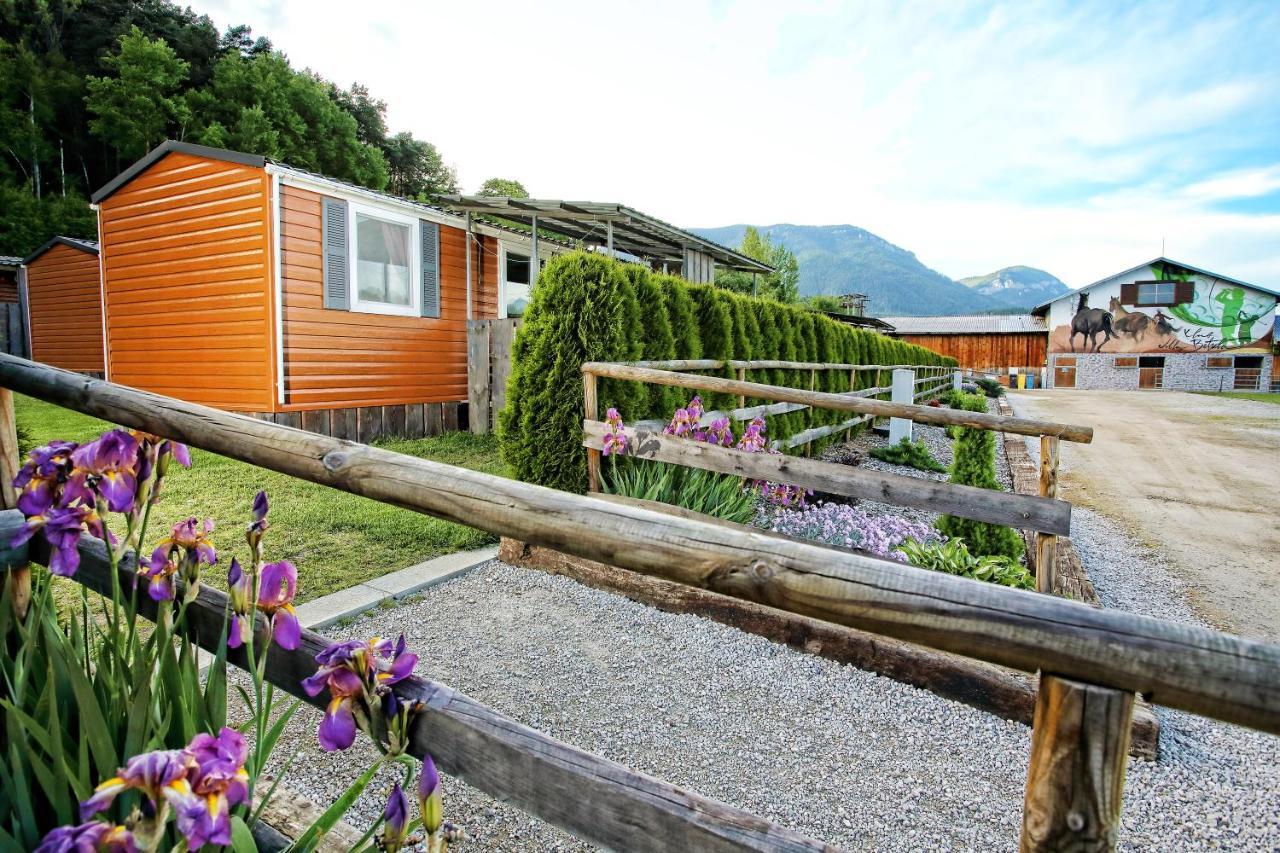 Villa Betula Resort & Camping Žiar Exterior photo